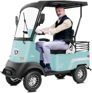 2 Passenger Golf Cart & Electric Golf Cart&with Extra Large Capacity Storage Trunk&Independent Suspension for Golf|Suitable for Golf| Hunting|Scenic Spots|Hotels|Beaches|Schools and Farms