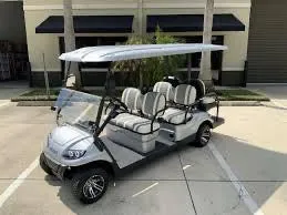 2025 Icon i60 Golf cart