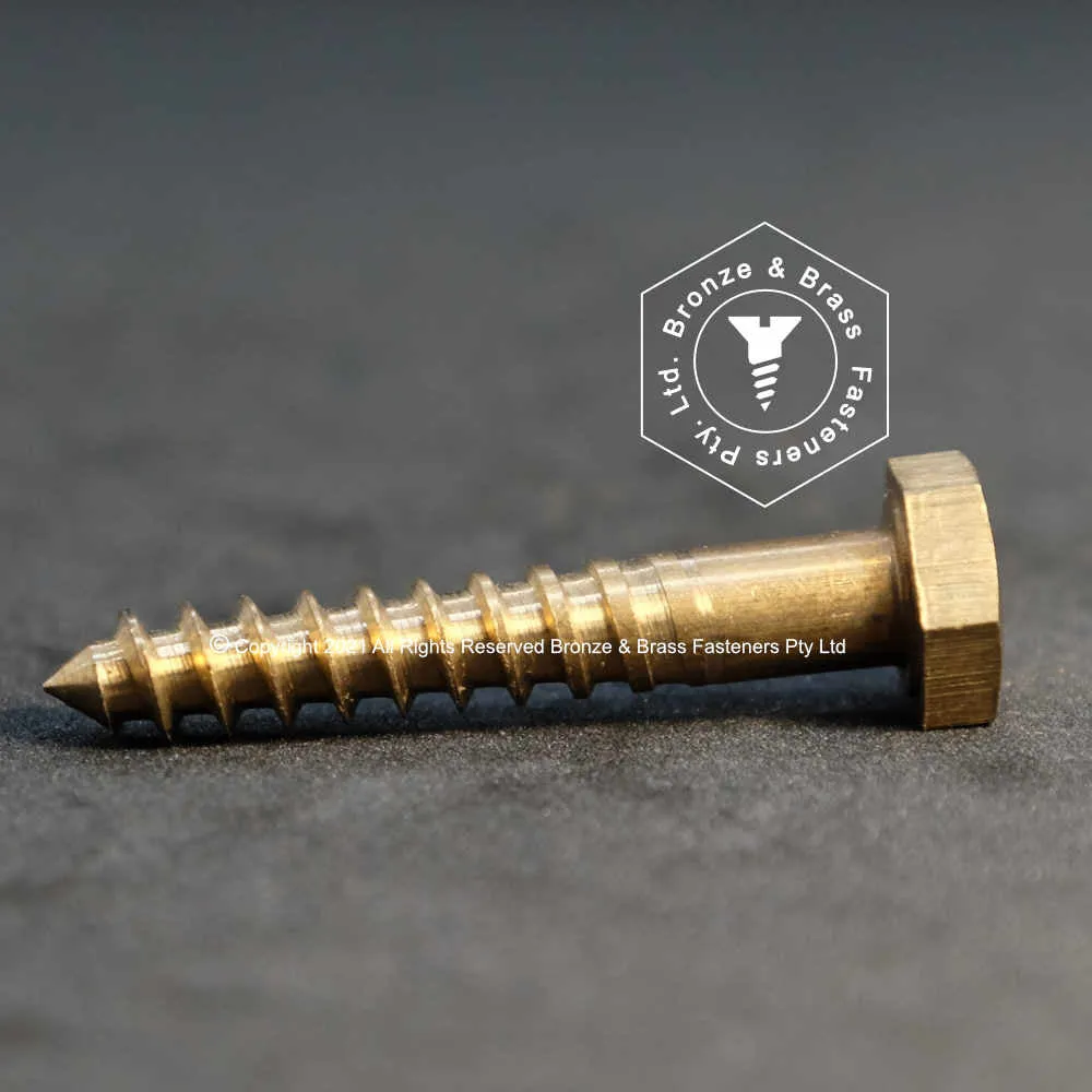 2795 - 135715 - Silicon Bronze Hex Lag Screw- 5/16 x 3" (Hex Head Woodscrew)