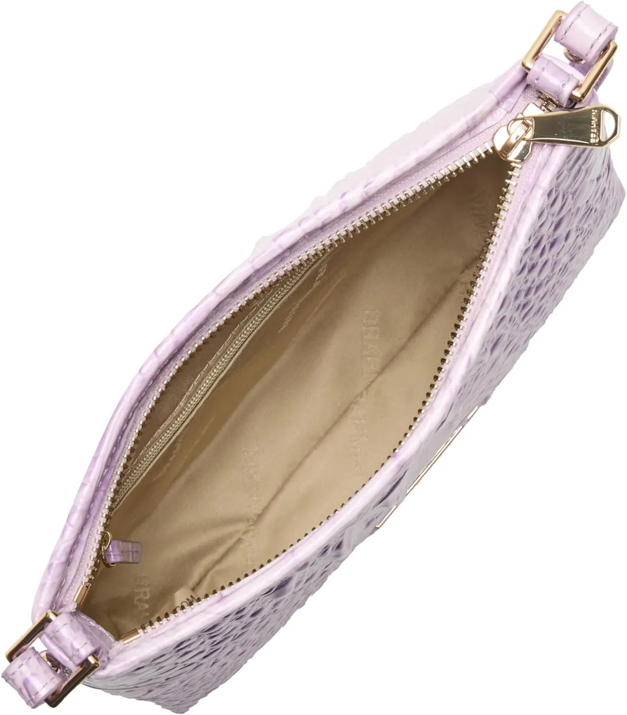 BRAHMIN Lorelei