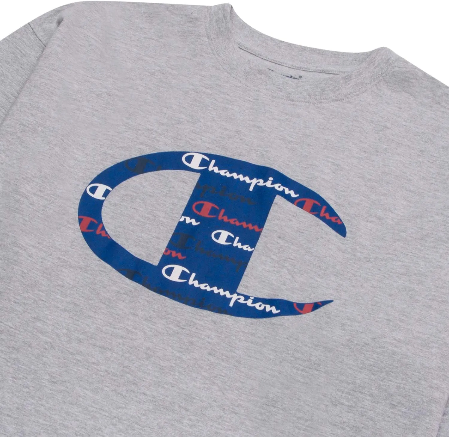Champion Big and Tall T Shirts for Men – Crewneck Mens Big and Tall Graphic Tee