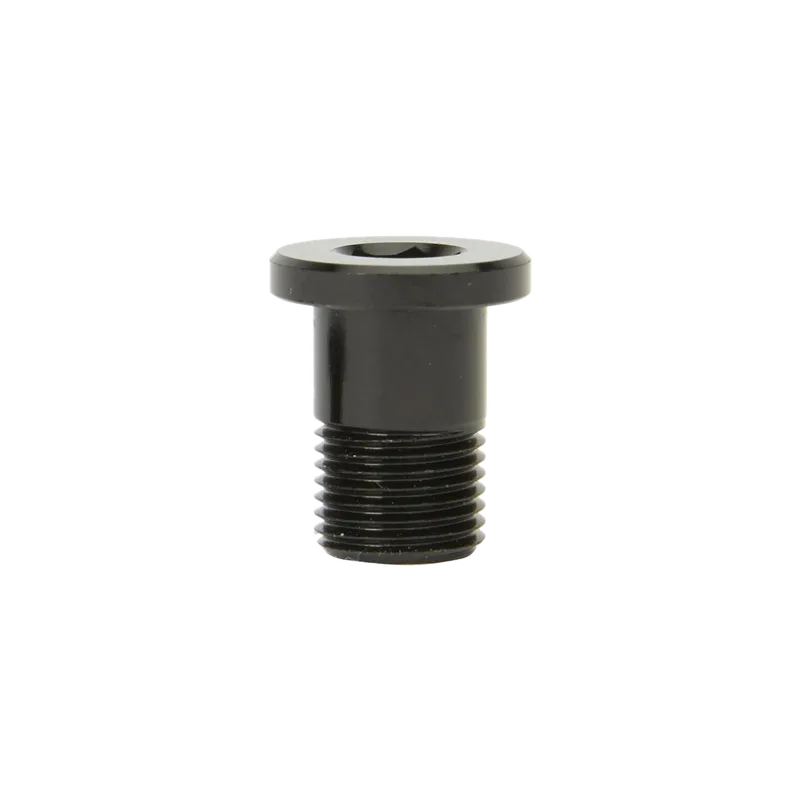 Derailleur Hanger Bolt - 12mm