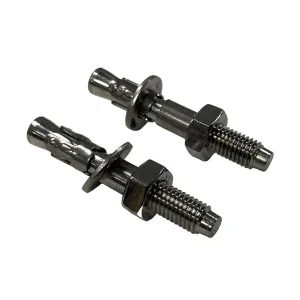 Dynamo Stainless Steel 304 Wedge Expansion Bolt for Hard Rock - Outdoor Use, 25kN Minimum Strength M10x70mm, Pack of 2