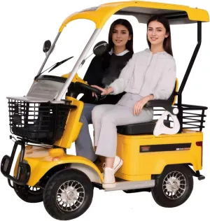 Electric Golf Cart Passenger Cruiser, with Extra Large Capacity Storage Trunk, 50-Mile Range, Suitable for Golf Hunting Scenic Spots Hotels Beaches Schools and Farms