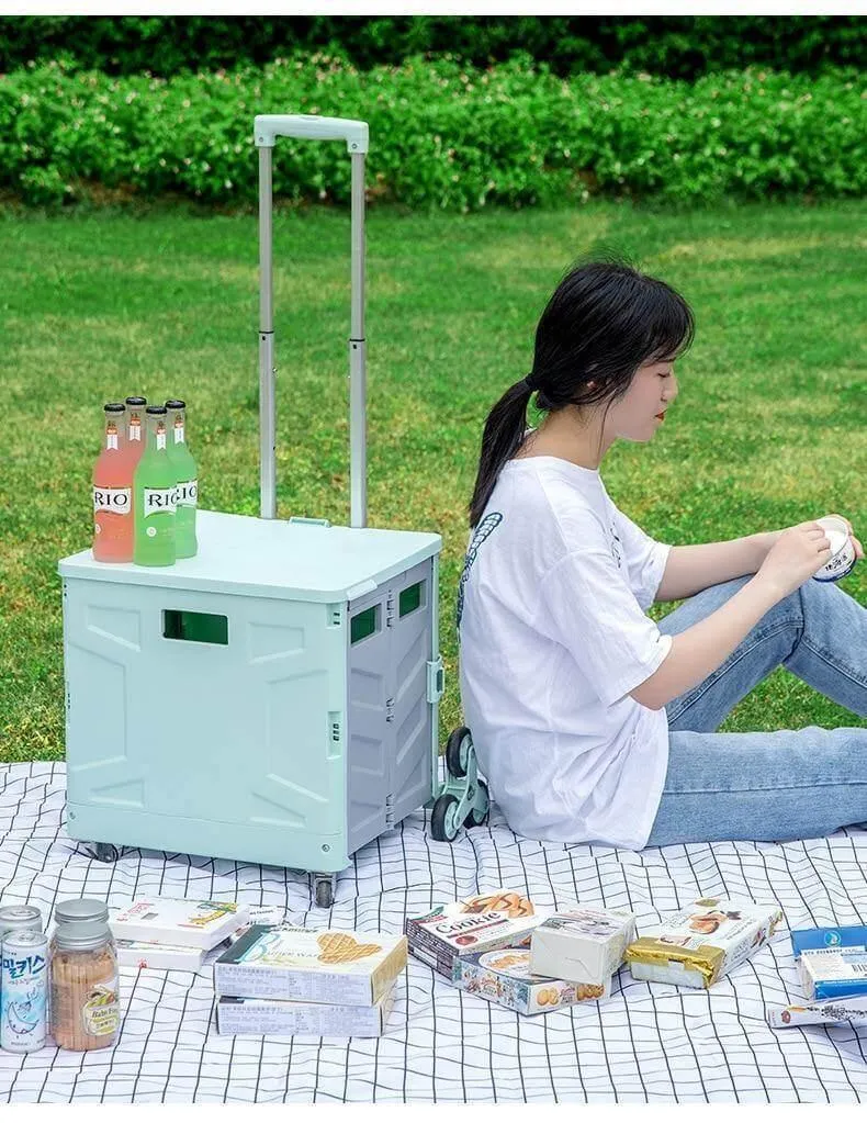 Foldable Grocery Cart - Portable Picnic Trolley Organizer