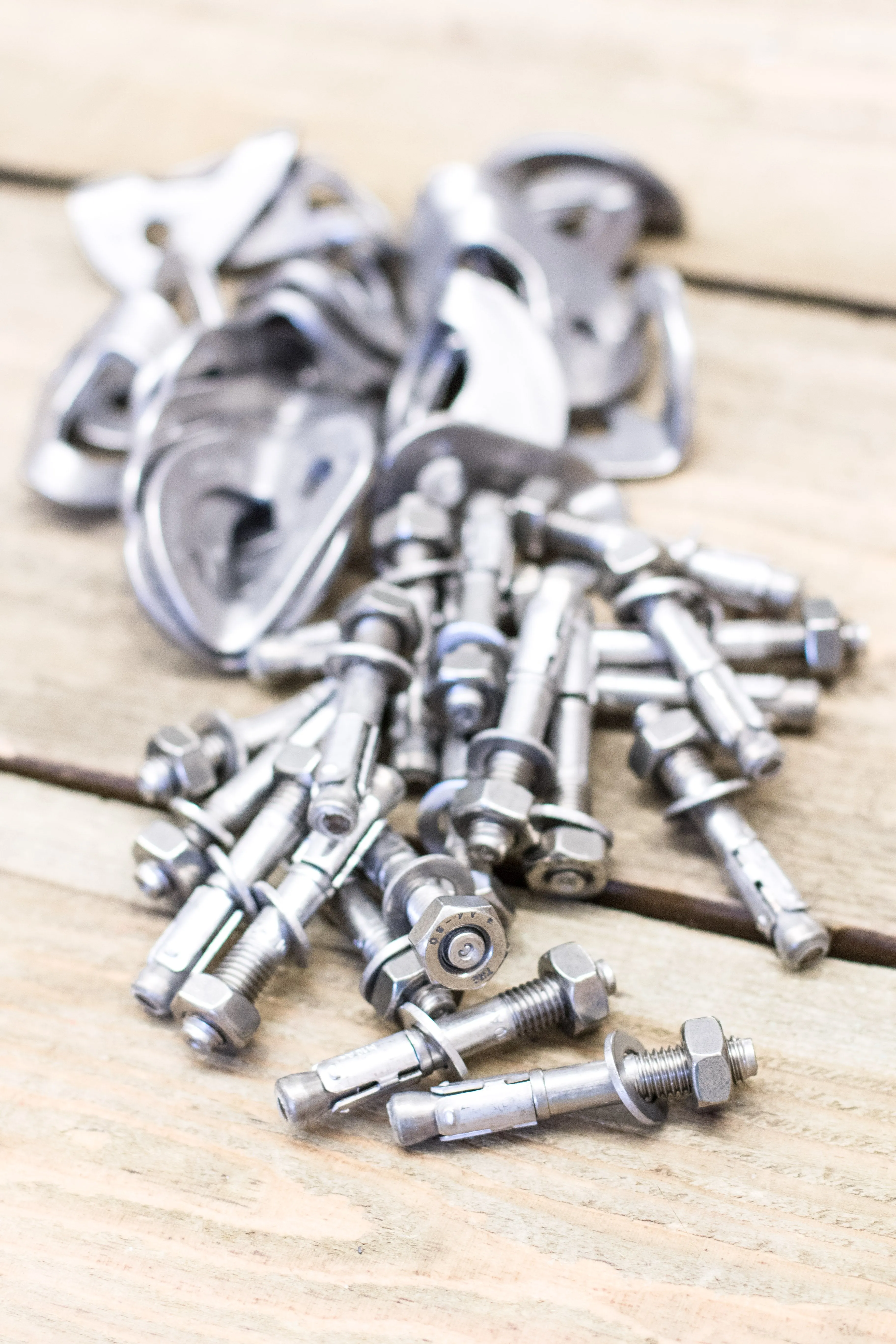 Petzl - Coeur Bolts - 20 Pack