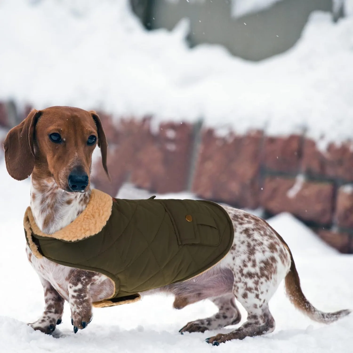 Queenmore Warm Dog Coat, Cold Weather Puffer Dog Coat, Quilting Winter Dog Jacket Ultra Thick Plush Lining with Storage Pockets (Green, X-Small)