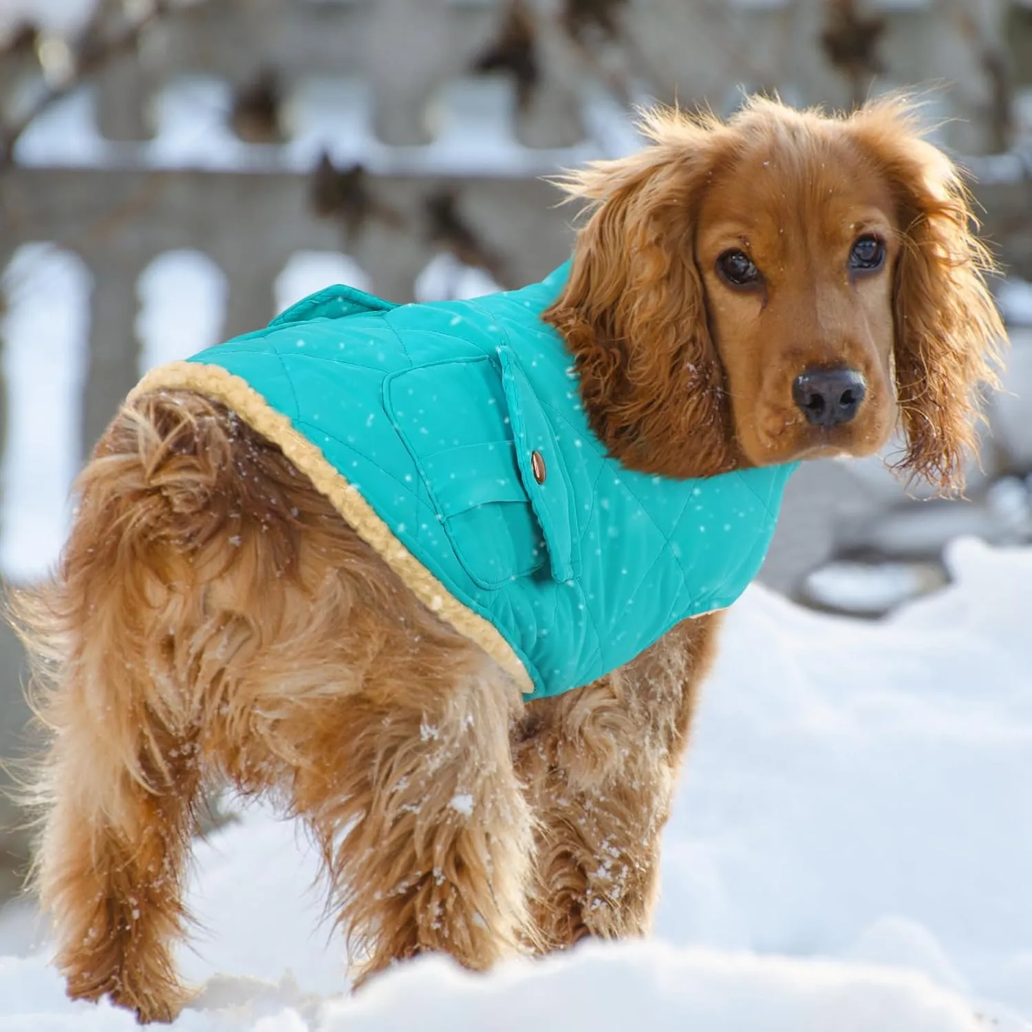Queenmore Warm Dog Coat, Cold Weather Puffer Dog Vest, Quilting Winter Jacket Ultra Thick Plush Fleece Lining Pet Clothes with Storage Pockets (Light Blue, Small)