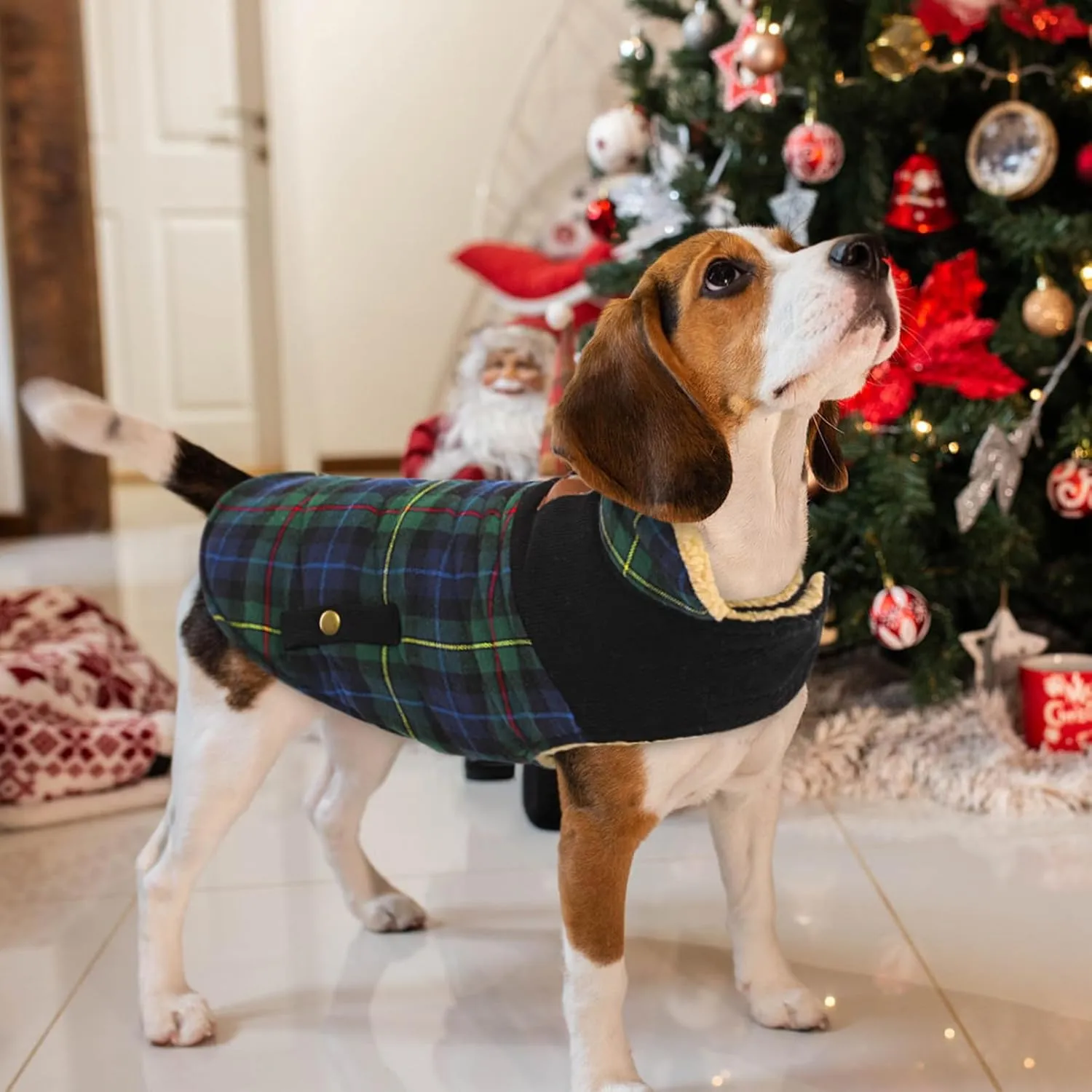 Queenmore Warm Dog Jacket for Cold Weather, Quilted Puffer Plaid Coat with Waterproofing, Fleece Padding, Leash Hole - Small/Medium, Girl/Boy Dog Christmas Coat
