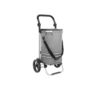 Rootz Foldable Shopping Trolley - Grocery Cart - Collapsible Utility Cart - Lightweight Design - 45cm x 35cm x 92cm