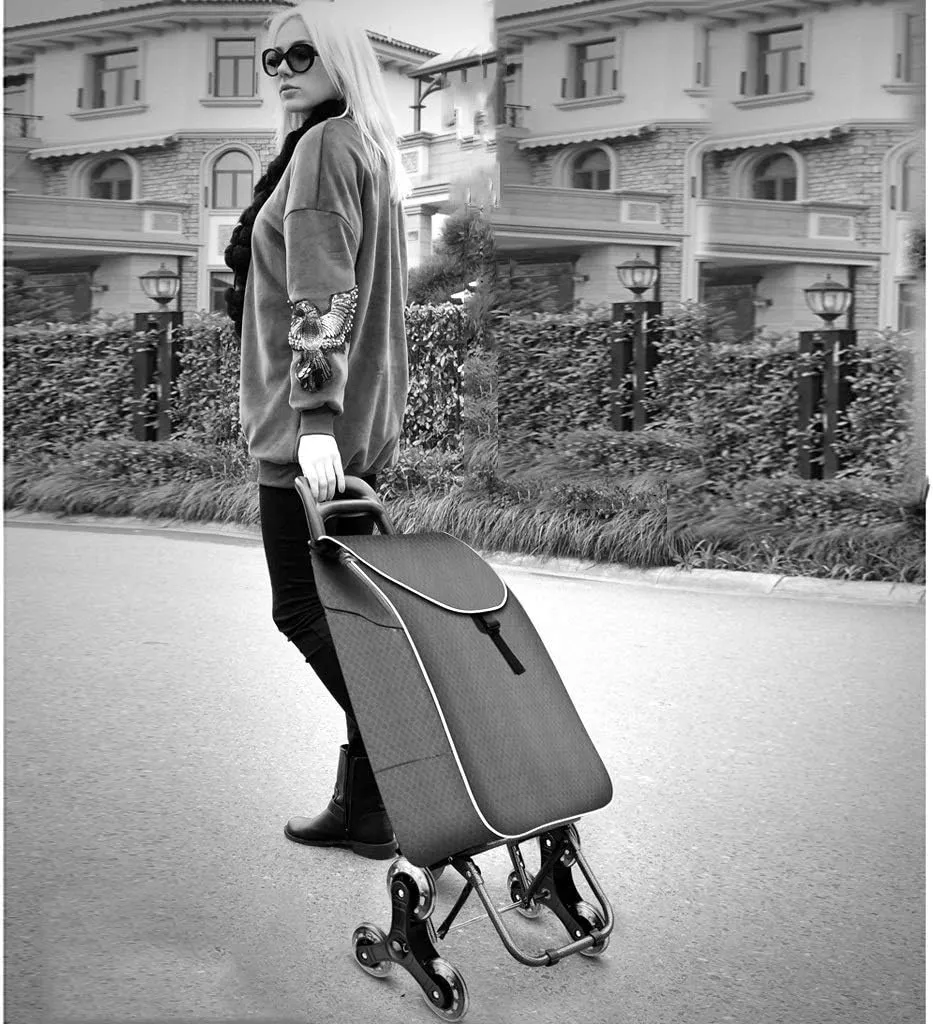 Shopping Trolley,Multi-Function Kitchen Storage Utility-Carts Grocery Shopping Cart/Climbing Folding Large Capacity Elderly Walking Assist Carts